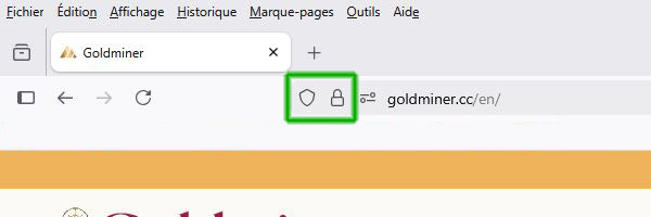 Goldminer Secure Payment